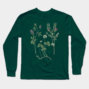 Clover Plants Botanical Illustration Long Sleeve T-Shirt